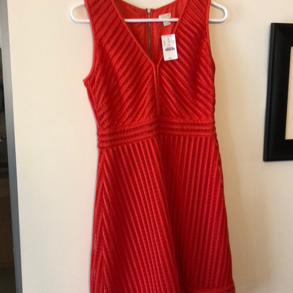 Brand new, never worn, tags on. Too large for me.